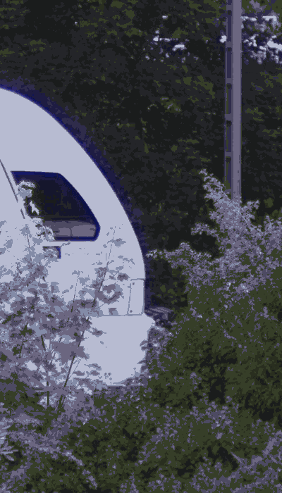 There should be a train video here :'(