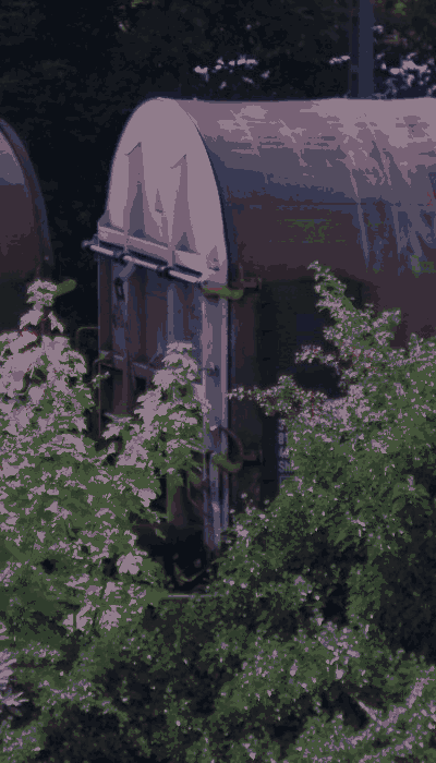 There should be a train video here :'(