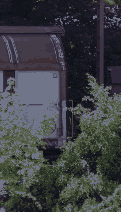 There should be a train video here :'(