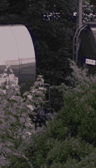 There should be a train video here :'(