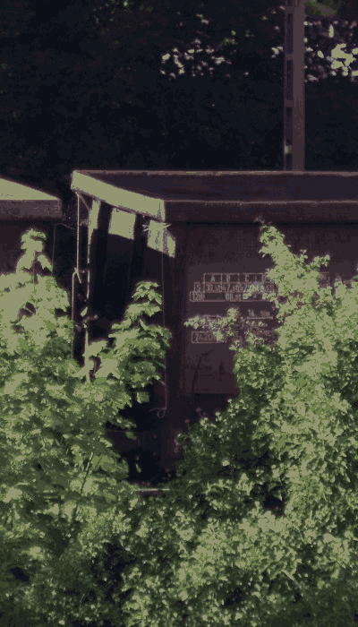 There should be a train video here :'(