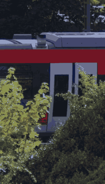 There should be a train video here :'(