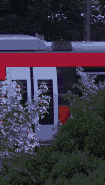 There should be a train video here :'(