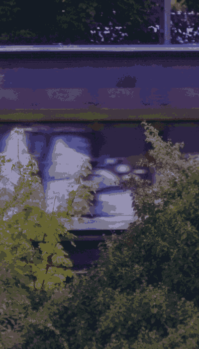 There should be a train video here :'(