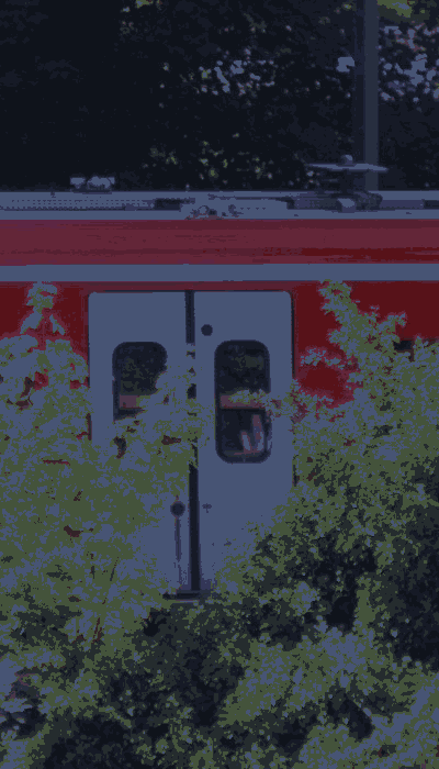 There should be a train video here :'(