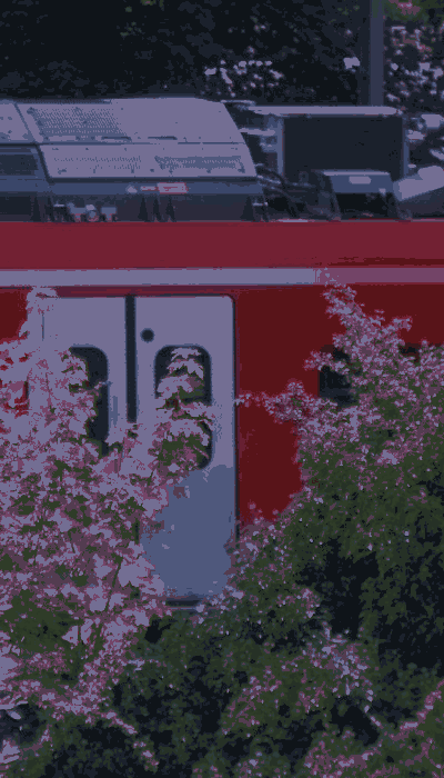 There should be a train video here :'(