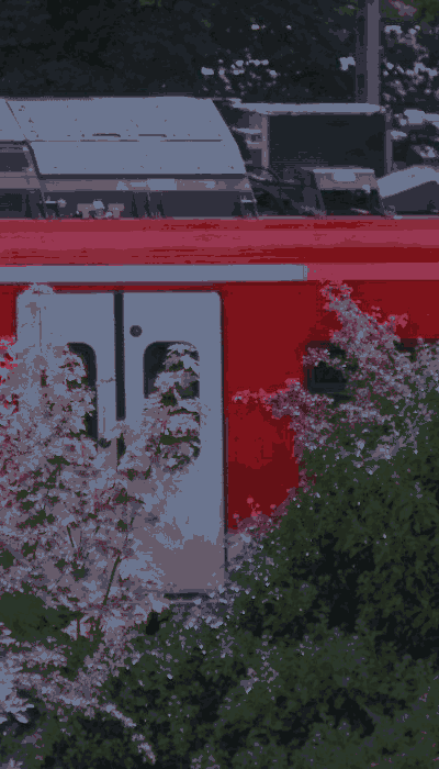 There should be a train video here :'(