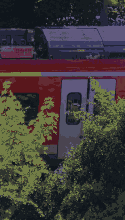 There should be a train video here :'(