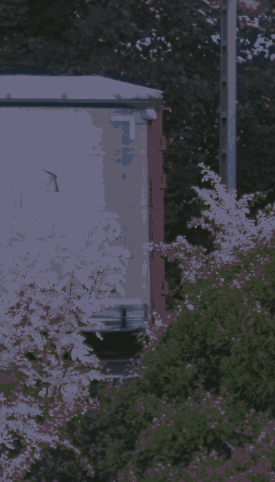 There should be a train video here :'(