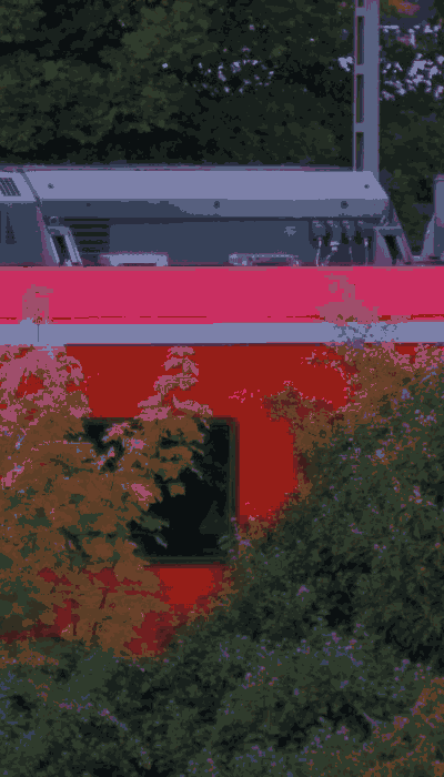 There should be a train video here :'(