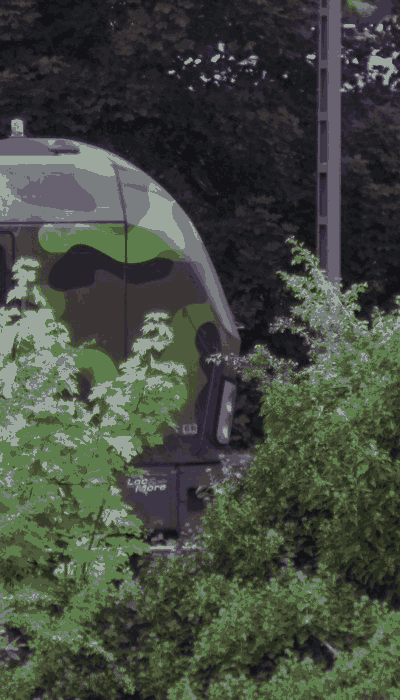 There should be a train video here :'(