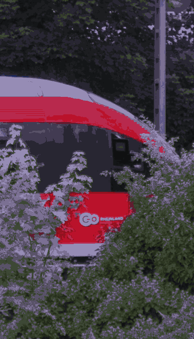 There should be a train video here :'(