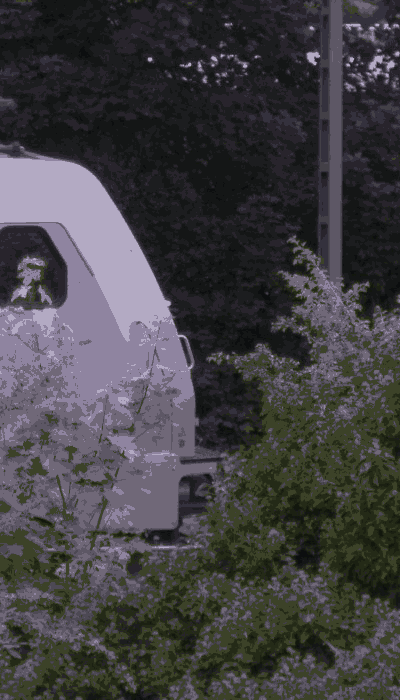 There should be a train video here :'(