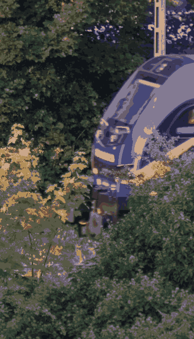 There should be a train video here :'(