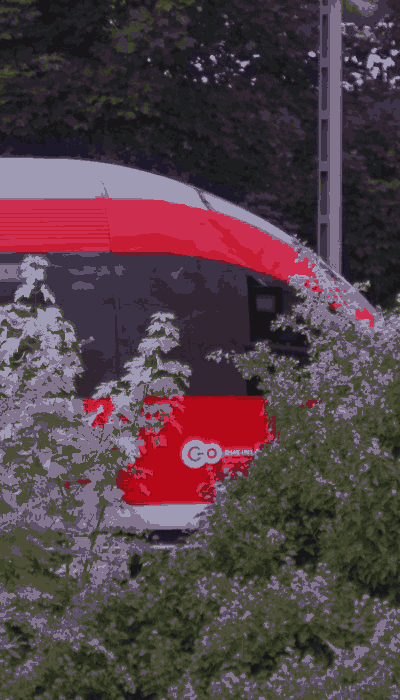 There should be a train video here :'(