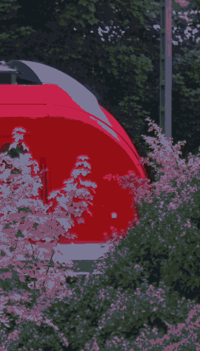There should be a train video here :'(