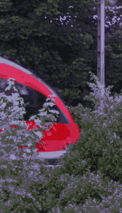 There should be a train video here :'(