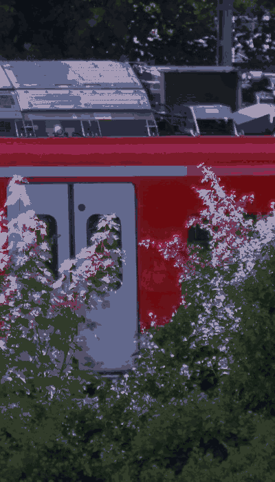 There should be a train video here :'(