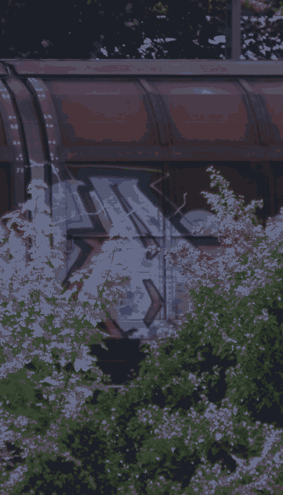 There should be a train video here :'(