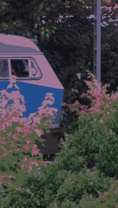There should be a train video here :'(