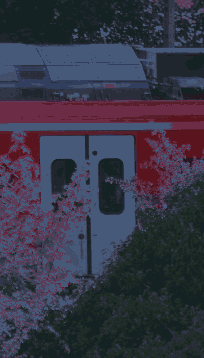 There should be a train video here :'(