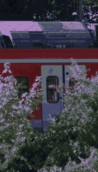There should be a train video here :'(