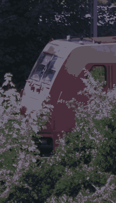 There should be a train video here :'(