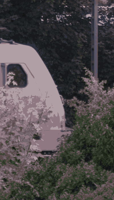 There should be a train video here :'(
