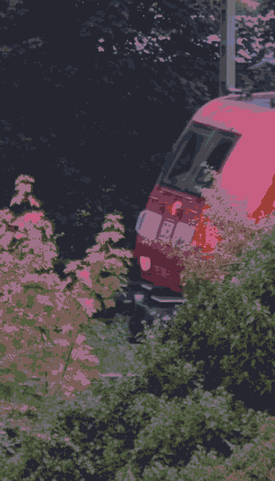 There should be a train video here :'(