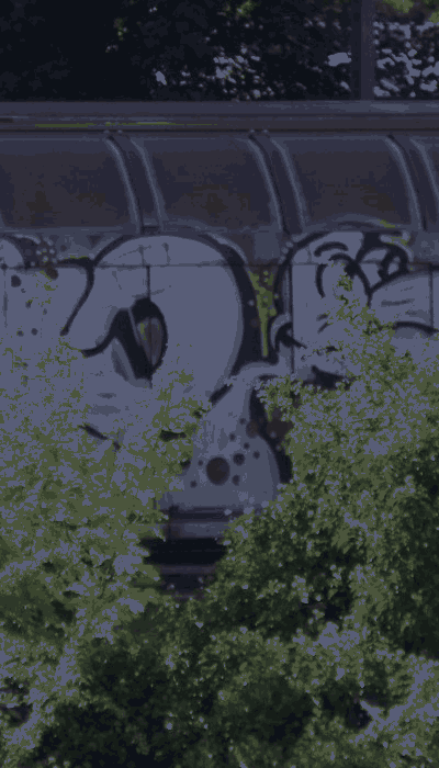 There should be a train video here :'(