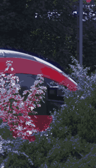 There should be a train video here :'(