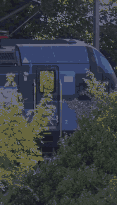 There should be a train video here :'(