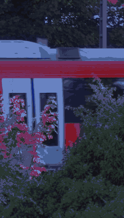 There should be a train video here :'(