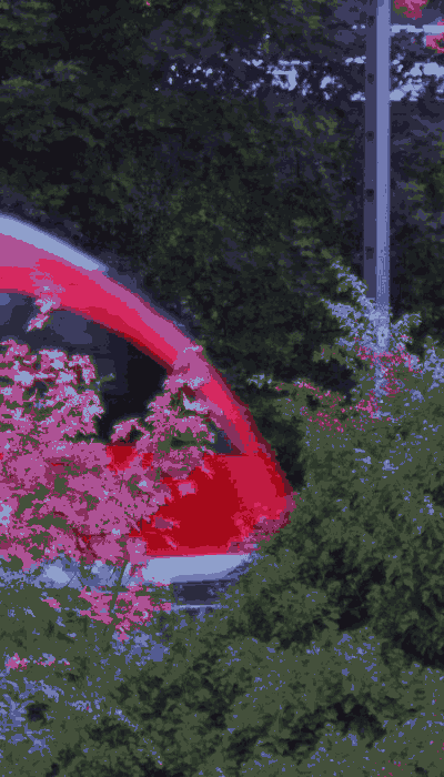 There should be a train video here :'(