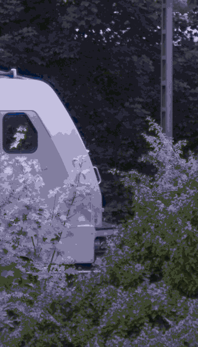 There should be a train video here :'(