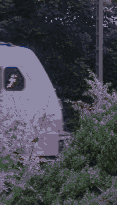 There should be a train video here :'(