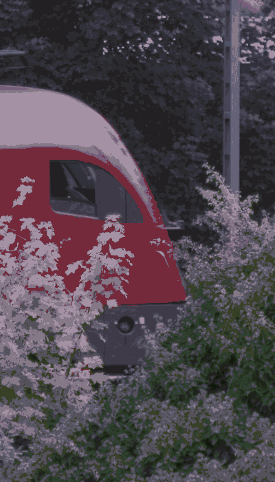 There should be a train video here :'(