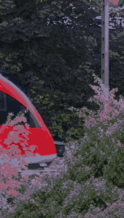 There should be a train video here :'(