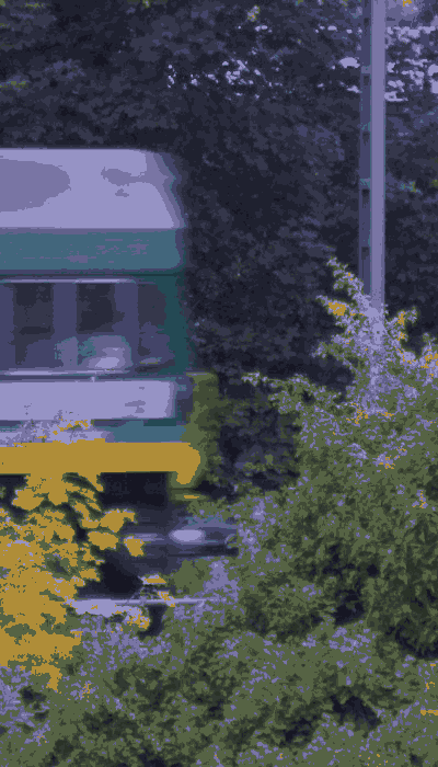 There should be a train video here :'(