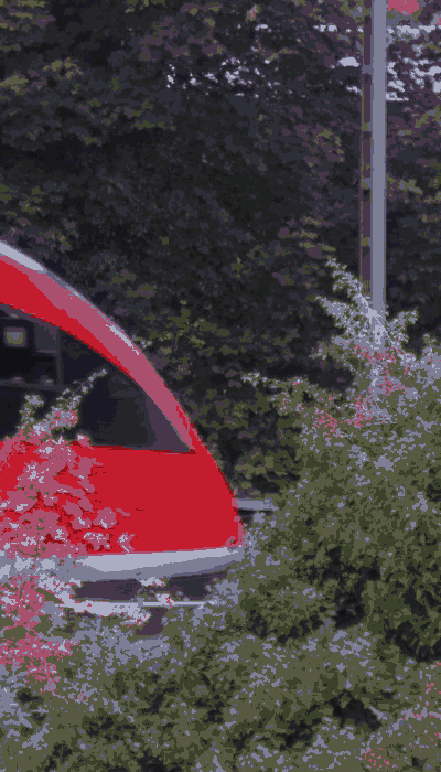 There should be a train video here :'(