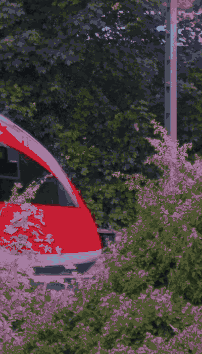 There should be a train video here :'(