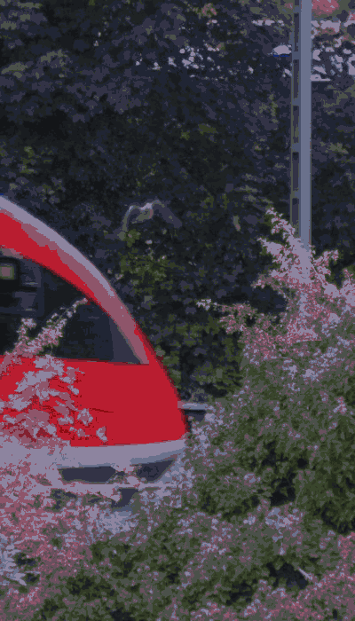 There should be a train video here :'(
