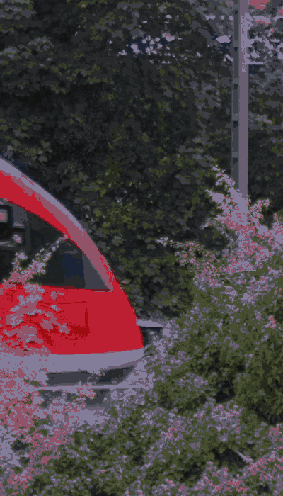 There should be a train video here :'(