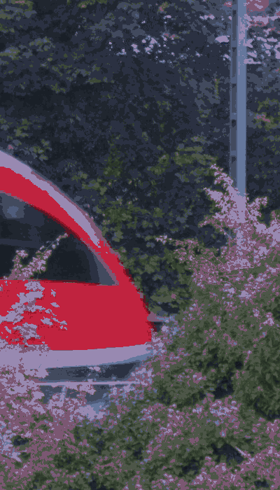 There should be a train video here :'(