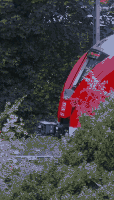 There should be a train video here :'(
