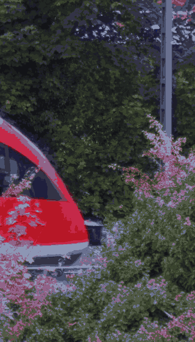 There should be a train video here :'(