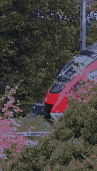 There should be a train video here :'(