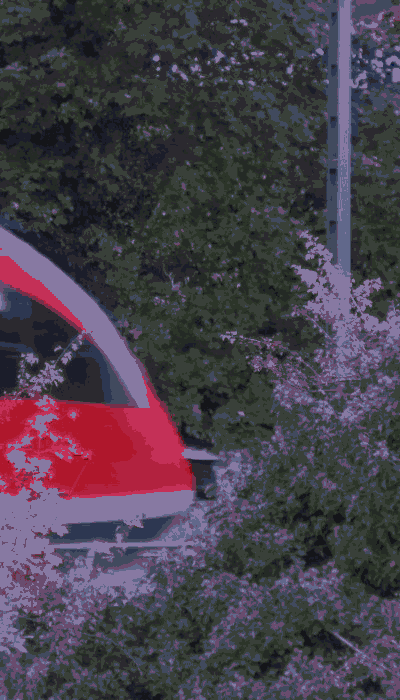 There should be a train video here :'(