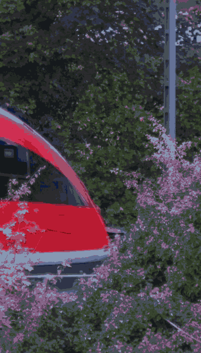 There should be a train video here :'(