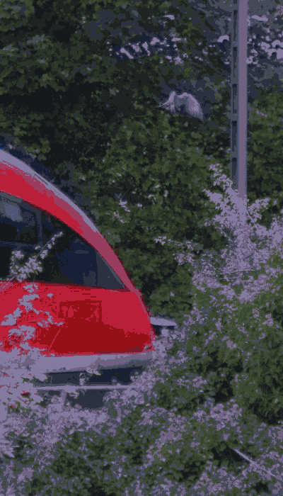 There should be a train video here :'(